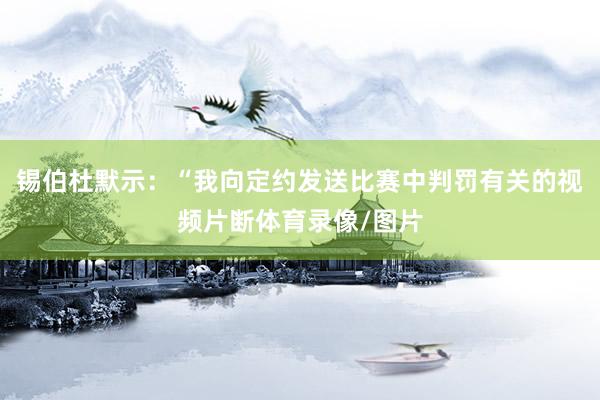 锡伯杜默示：“我向定约发送比赛中判罚有关的视频片断体育录像/图片