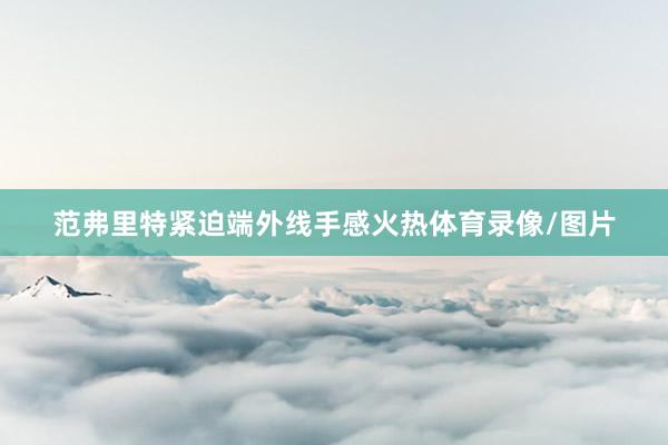 范弗里特紧迫端外线手感火热体育录像/图片