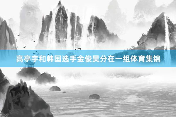 高亭宇和韩国选手金俊昊分在一组体育集锦