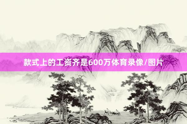 款式上的工资齐是600万体育录像/图片
