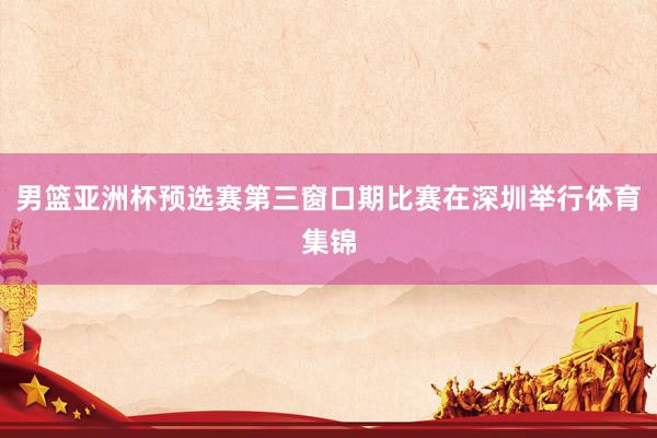 男篮亚洲杯预选赛第三窗口期比赛在深圳举行体育集锦