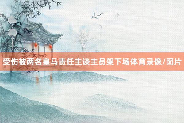 受伤被两名皇马责任主谈主员架下场体育录像/图片