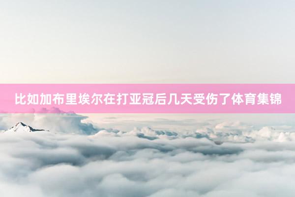 比如加布里埃尔在打亚冠后几天受伤了体育集锦