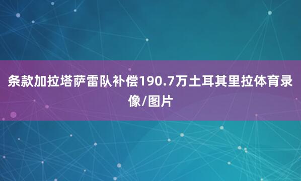 条款加拉塔萨雷队补偿190.7万土耳其里拉体育录像/图片