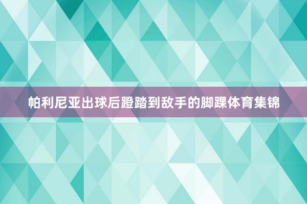 帕利尼亚出球后蹬踏到敌手的脚踝体育集锦