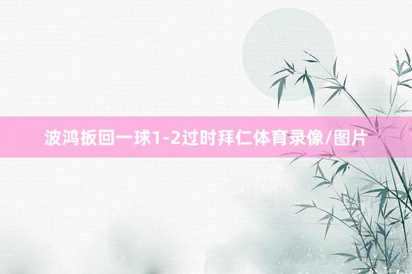 波鸿扳回一球1-2过时拜仁体育录像/图片