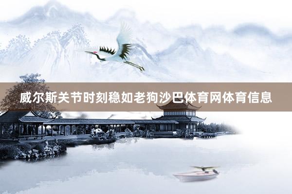 威尔斯关节时刻稳如老狗沙巴体育网体育信息