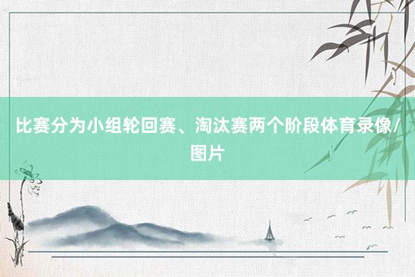 比赛分为小组轮回赛、淘汰赛两个阶段体育录像/图片