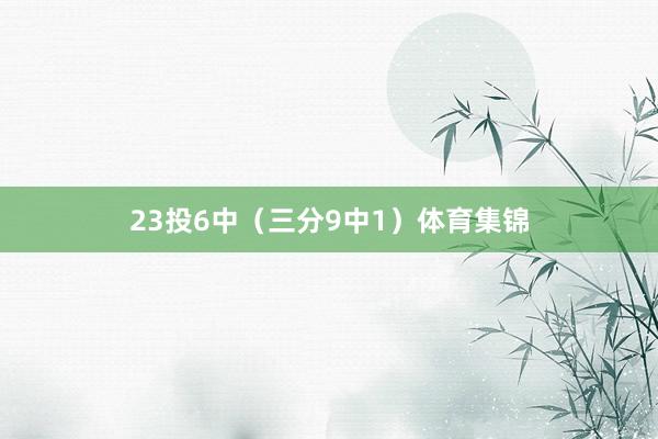 23投6中（三分9中1）体育集锦