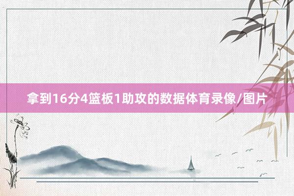 拿到16分4篮板1助攻的数据体育录像/图片