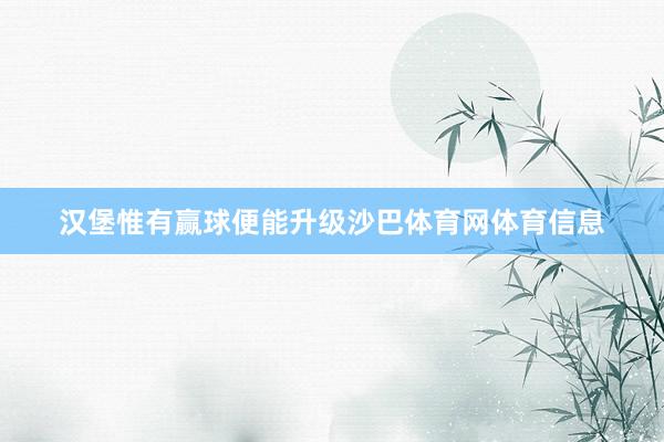 汉堡惟有赢球便能升级沙巴体育网体育信息