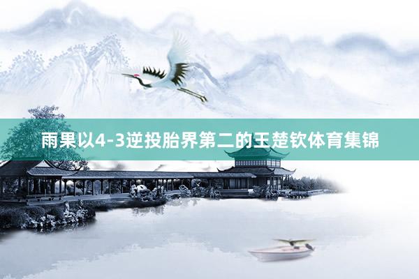 雨果以4-3逆投胎界第二的王楚钦体育集锦