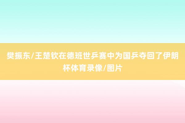 樊振东/王楚钦在德班世乒赛中为国乒夺回了伊朗杯体育录像/图片