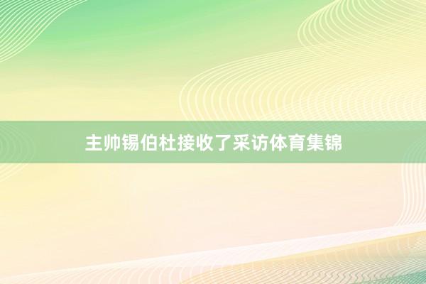 主帅锡伯杜接收了采访体育集锦
