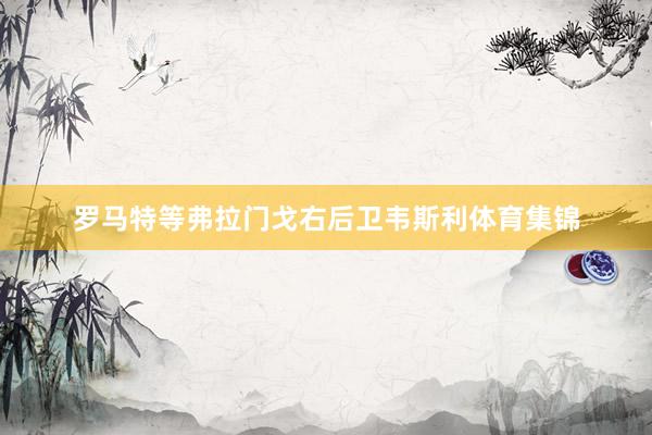 罗马特等弗拉门戈右后卫韦斯利体育集锦