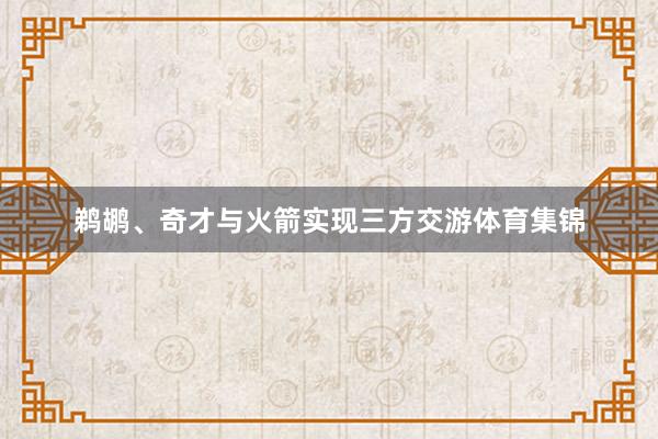鹈鹕、奇才与火箭实现三方交游体育集锦