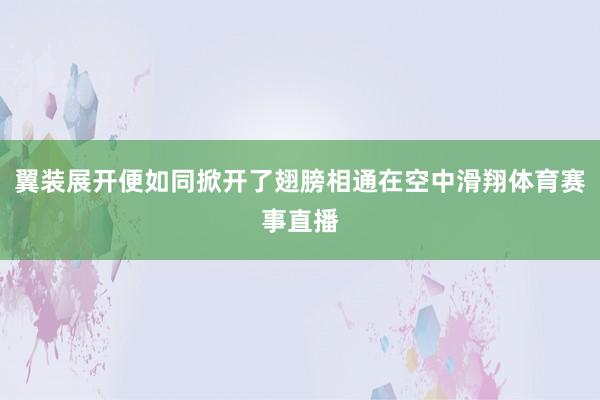 翼装展开便如同掀开了翅膀相通在空中滑翔体育赛事直播
