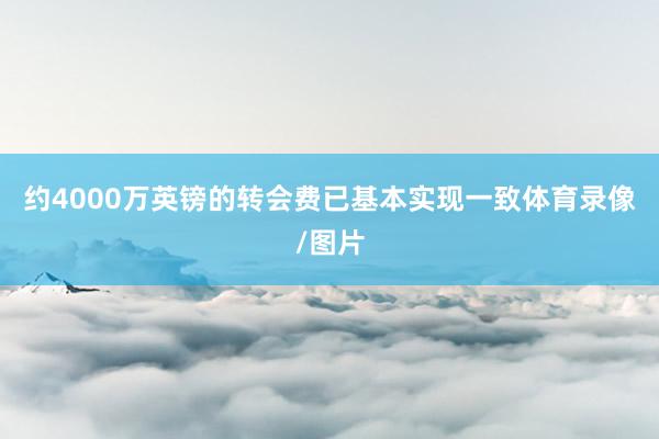 约4000万英镑的转会费已基本实现一致体育录像/图片
