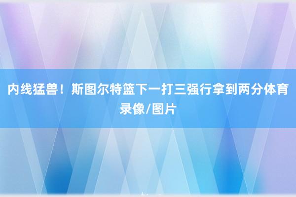 内线猛兽！斯图尔特篮下一打三强行拿到两分体育录像/图片
