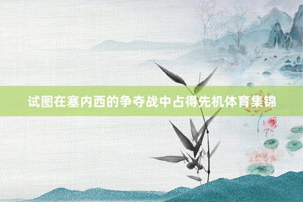 试图在塞内西的争夺战中占得先机体育集锦