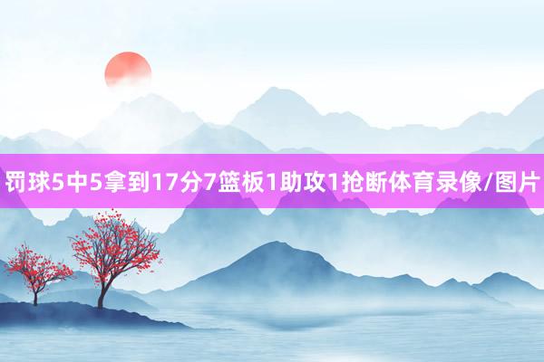 罚球5中5拿到17分7篮板1助攻1抢断体育录像/图片