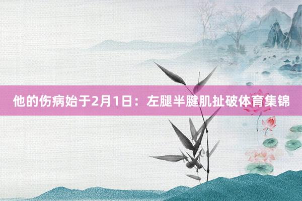 他的伤病始于2月1日：左腿半腱肌扯破体育集锦