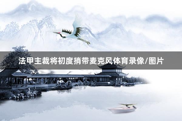 法甲主裁将初度捎带麦克风体育录像/图片
