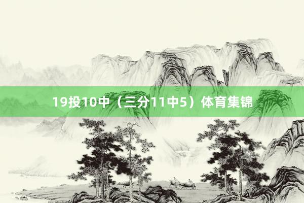 19投10中（三分11中5）体育集锦