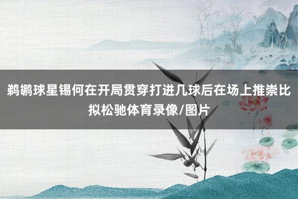 鹈鹕球星锡何在开局贯穿打进几球后在场上推崇比拟松驰体育录像/图片