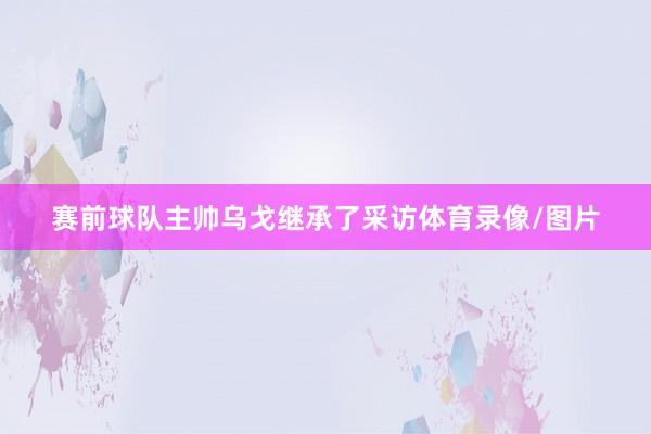 赛前球队主帅乌戈继承了采访体育录像/图片