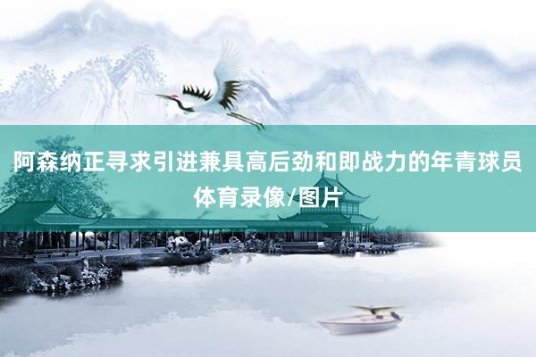 阿森纳正寻求引进兼具高后劲和即战力的年青球员体育录像/图片