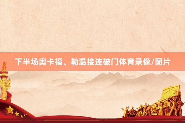 下半场奥卡福、勒温接连破门体育录像/图片
