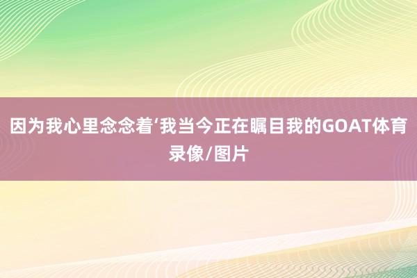 因为我心里念念着‘我当今正在瞩目我的GOAT体育录像/图片