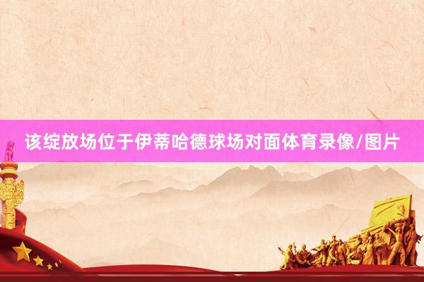 该绽放场位于伊蒂哈德球场对面体育录像/图片