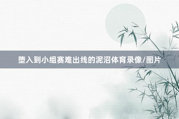 堕入到小组赛难出线的泥沼体育录像/图片