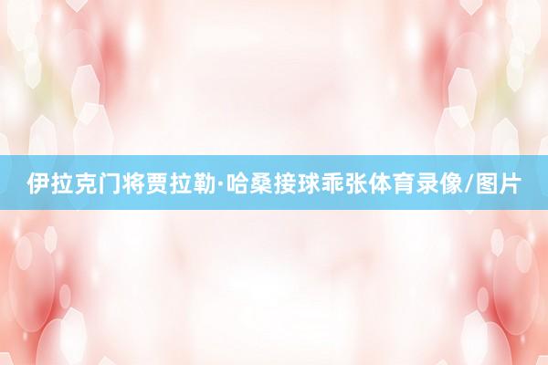 伊拉克门将贾拉勒·哈桑接球乖张体育录像/图片